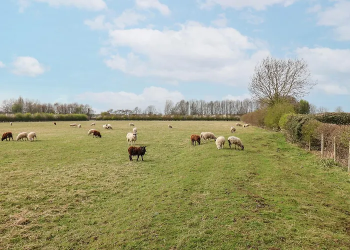 Casa vacanze The Barn - Poplar Farm *