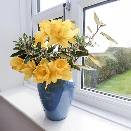 בית נופש The Barn - Poplar Farm יורק